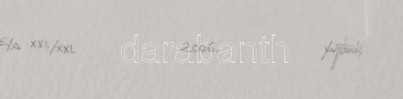 Kovács Tamás László (1964-): "Lebegés". Száraz, magasnyomás, akril, papír, jelzett, művész...