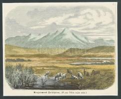 1861 Kenyérmező / Câmpul Pâinii Erdélyben. Nemes Ödön rajza, Színezett fametszet 16x12 cm Paszpartuban