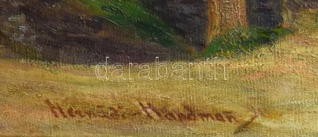 Hernádi Handmann Adolf (1873-1944): Erdélyi utca kék házakkal. Olaj, vászon, jelezve jobbra lent. Ja...