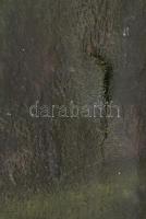 Olvashatatlan jelzéssel: Vadász az elejtett vaddal. Olaj, vászon. Sérült. Fakeretben. 40x30 cm