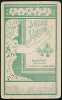 cca 1910 Idős hölgy portréja, keményhátú fotó Salgó Sándor budapesti műterméből, szecessziós hátolda...