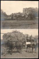 cca 1920-1930 Mezei munkák (cséplés) fotói, 5 db fotó, kissé foltos hátoldalakkal, 18x23 cm