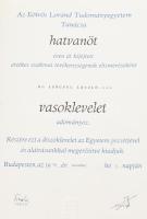 1923-1927 Bp. Tud.egyetem izraelita, jogi. + Vas, arany, és gyémánt dip. u.a. a személynek a részére