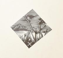 Gy. Szabó Béla: Hónapok. Gy. Szabó Béla (1905-1985) fametszetei. (Kolozsvár, 1973), Dacia. Kiadói pa...