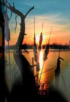 Dr. Vándor László: Zala Európában. Mészáros T. László fotóival. 2005, Mészi Fotó Kiadó. Kiadói karto...