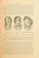 A nő mint háziorvos. Az egészség ápolásának kézikönyve. Fischer-Dückelmann Anna nyomán közrebocsájto...