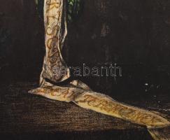 1914 Erzsébet királyné Deák Ferenc ravatalánál, nagyméretű litográfia, Elemi Népiskolai Szemléltető ...