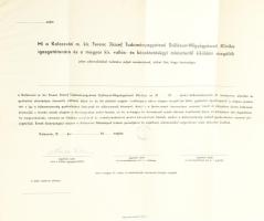 cca 1920-1940 Kitöltetlen bábadiploma