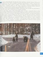 Kelemen László: Medvecécó. 100 találkozástörténet a Kárpátok nagyragadozójával. Marosvásárhely, 2020...