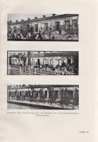 Fülöp-Miller, René:

Geist und Gesicht des Bolschewismus. Darstellung und Kritik des kulturellen L...