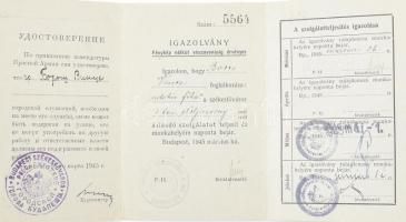 1945 Orosz-magyar kétnyelvű mentesítő igazolvány