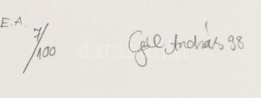 Gál András (1968-): Jó napot kívánok. Rézkarc, papír, jelzett. sorszámozott művészpéldány E.A. 7/100...