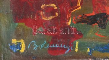 Bolmányi Ferenc (1904-1990): Madarat sétáltató, Olaj, vászon jelzett balra lent, 50x60 cm