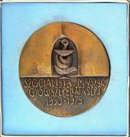 Ligeti Erika (1934-2004) 1975. "A Szocialista Magyar Gyógyszerellátásért 1950-1975" kétold...