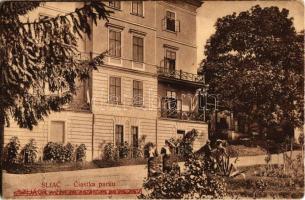 1920 Szliács, Sliac; Ciasta parku / park, hotel (kis szakadás / small tear)