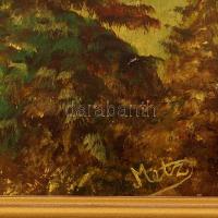 Metz jelzéssel: Hegyvidéki táj. Olaj, fatábla. Hátoldalán 1980 körüli BÁV címkével. Dekoratív fakere...