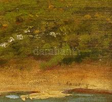 Kemény jelzéssel: Libapásztorlány. Olaj, vászon. Dekoratív, kissé sérült fakeretben. 25x35 cm