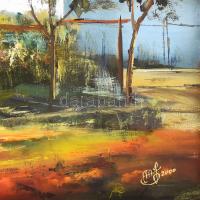 Maksai János (1954-): Régi parasztház. Olaj, vászon, jelezve jobbra lent. Dekoratív fakeretben, 50x8...