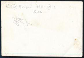 1944.VIII.3. Zenta (Vajdaság), Petőfi Brigád, fegyveresek "Honvédség" rendszámtáblájú auto...