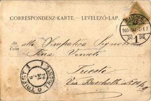 1903 SMS WIEN auf der Rhede von Spithead. K.u.K. Kriegsmarine / Austro-Hungarian Navy, SMS Wien Mona...