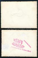 1941. áprilisa, Délvidék visszafoglalása, lezuhant jugoszláv repülőgép, valamint pilótájának holttes...