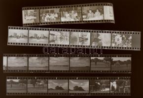 cca 1930 és 1999 között készült felvételek sokféle témáról (Bp., Kecskemét, Balaton, Gyula, Szeged, ...