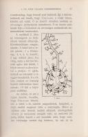 Lehmann, [Alfred] Alfréd:

Babona és varázslat. A legrégibb időktől a jelen korig. Fordította Rans...