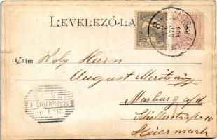 1900 Nagykanizsa, Pollák József bőrkereskedő üzlete, Városháza, takarékpénztár. Schless Antal kiadás...