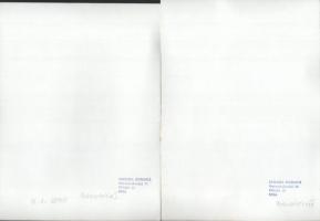 cca 1979 Ludmila Duskova prágai fotóművész pecséttel jelzett, vintage fotóművészeti alkotásai (Szoci...