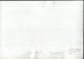 cca 1979 Ludmila Duskova prágai fotóművész pecséttel jelzett, vintage fotóművészeti alkotásai (Szoci...