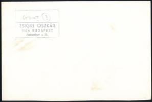 cca 1976 Zsigri Oszkár (1933-?) budapesti fotóművész hagyatékából, pecséttel jelzett, vintage fotómű...