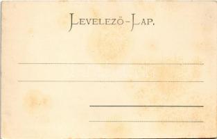 Pöstyén, Piestany; Ferenc József fürdő / spa, bath (fl)