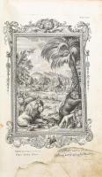 Scheuchzer, Johann Jacob (1672-1733): [Kupfer-Bibel, in welcher die Physica Sacra oder geheiligte Na...