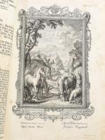 Scheuchzer, Johann Jacob (1672-1733): [Kupfer-Bibel, in welcher die Physica Sacra oder geheiligte Na...