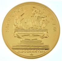 DN "Magyar Aranyóriások - Aranyérem Eszterházy Imre pappá szentelésének emlékére, 1738" ar...