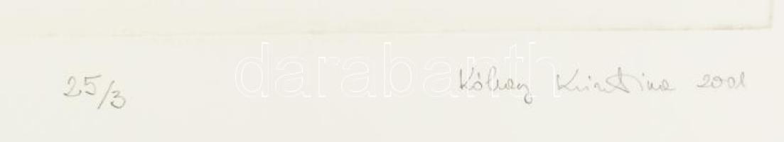 Kókay Krisztina (1943-): Régi kert, 2001. Rézkarc, papír, jelzett, 25/3 számozással, 40×29 cm