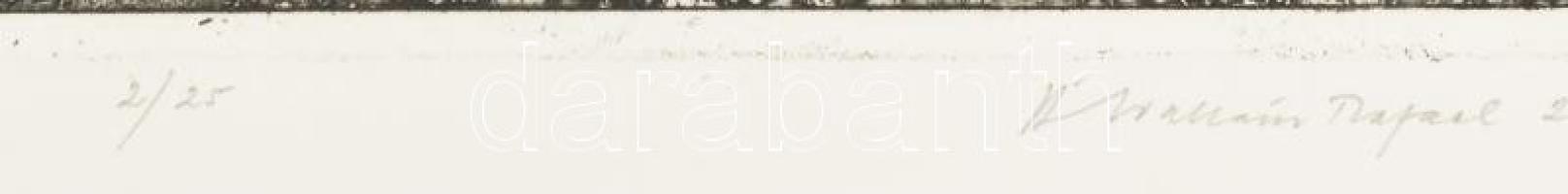 Ábrahám Rafael (1929-2014): Organikus geometria, 2000. Rézkarc, aquatinta, papír, jelzett, 2/25 szám...