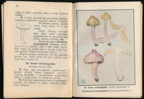Szemere László: Gombáskönyv kezdők részére. Útmutató a gyakoribb gombák megismeréséhez és értékesíté...