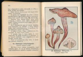 Szemere László: Gombáskönyv kezdők részére. Útmutató a gyakoribb gombák megismeréséhez és értékesíté...