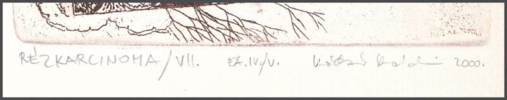 Kádár Katalin (1951-): Rézkarcinoma VII. Színes rézkarc, papír, jelzett, művészpéldány E.A. IV/V. sz...