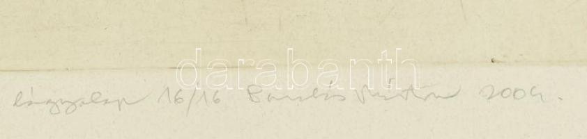 Barabás Márton (1952-): Gördülő kőarc (rolling stoneface), 2004. Lágyalap, papír. Jelzett. Számozott...