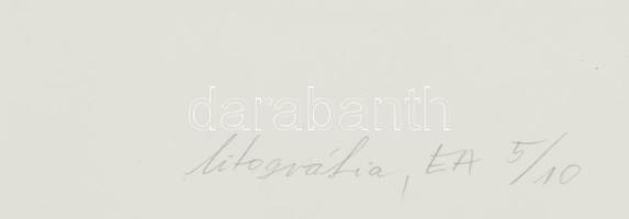 Madácsy István (1965-): Flabrum ultimum IV., 1999. Litográfia, papír, jelzett, művészpéldány EA 5/10...