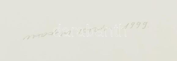 Madácsy István (1965-): Flabrum ultimum IV., 1999. Litográfia, papír, jelzett, művészpéldány EA 5/10...