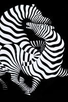 Vasarely, Victor (1908-1997): Zebrák. Szitanyomat, papír, jelzett, számozott (3/90), üvegezett keret...