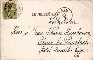 1901 Pöstyén, Piestany; Gyógyház a zenepavilonnal. A. Bernas kiadása / Curhaus mit dem Musikpavillon...