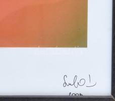 Olvashatatlan jelzéssel: Virág, 2003. Fotó, papír, jelzett a nyomaton, üvegezett keretben, 50x34,5 c...