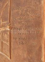 Léderer Tamás (1938-): Eminescu vers, akt macskával. Bronz kisplasztika, fa keretben. Jelzett 21x18 ...