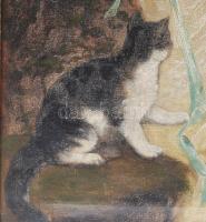 Senyei József (1885-1944): Kislány cicákkal. Olaj, vászon. Jelezve jobbra lent. Dekoratív, kissé sér...