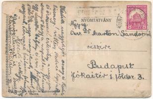 Petőfi Sándor. Royko B. leporellolap belül a szoborral (hiányos leporello / missing leporello)