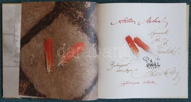 Molnar, Anton [Molnár Antal]:
Anton Molnar Gefrodinspex Collector. (Molnár Antal festőművész képzőm...